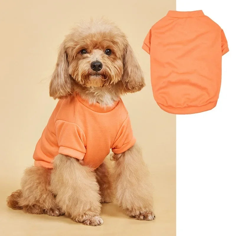 Camiseta Transpirable para Perro, Chaleco Delgado y Cómodo para Yorkshire Terrier, Ropa de Verano para Mascotas, Chaleco para Perro, Artículos para Mascotas