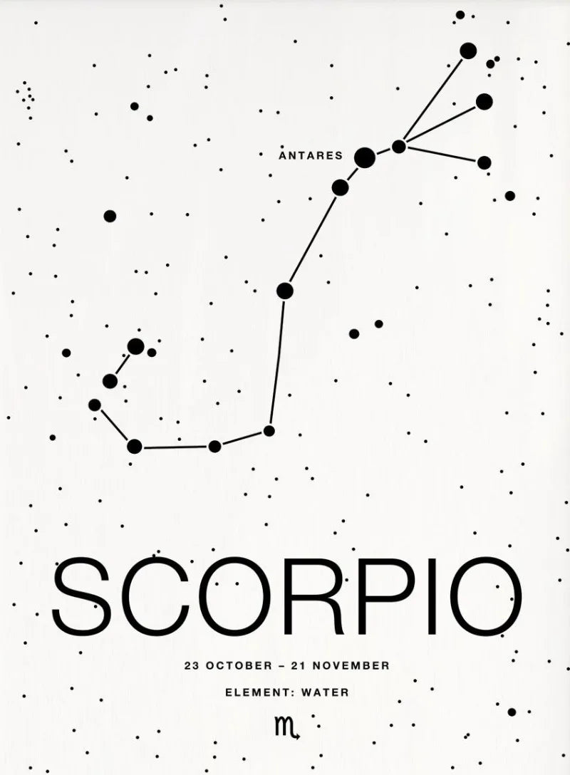 Zodiac Minimalist Aries Cancer Libra Aquarius Sign Black White Poster Print Wall Art Pictures Canvas Painting Room Home Decor