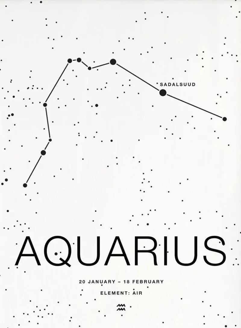 Zodiac Minimalist Aries Cancer Libra Aquarius Sign Black White Poster Print Wall Art Pictures Canvas Painting Room Home Decor