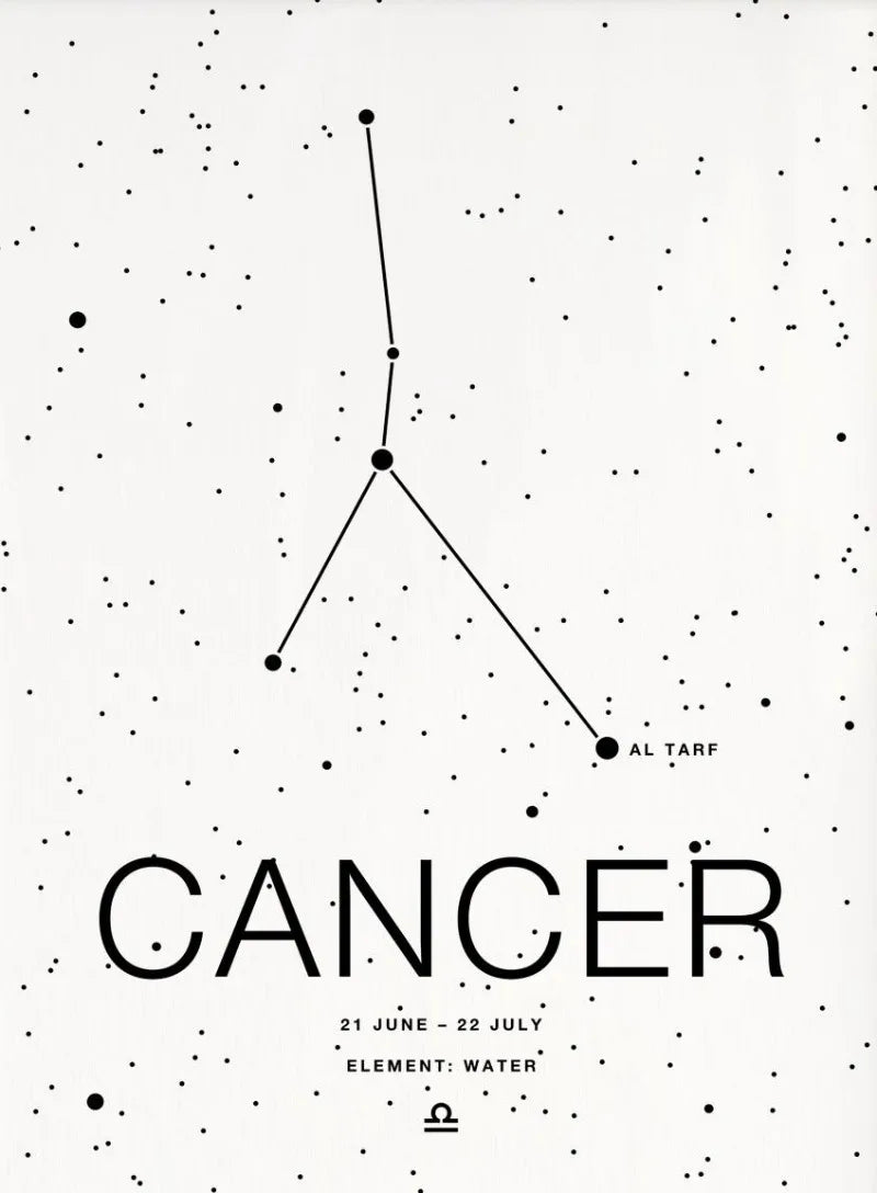 Zodiac Minimalist Aries Cancer Libra Aquarius Sign Black White Poster Print Wall Art Pictures Canvas Painting Room Home Decor