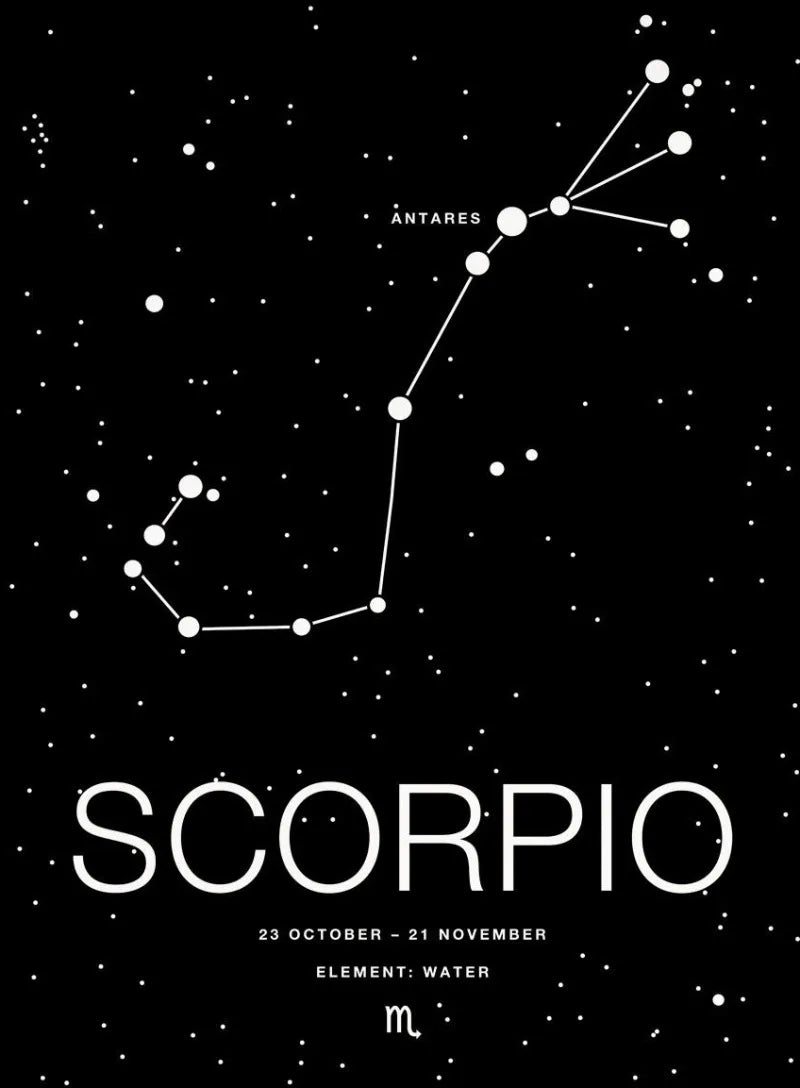 Zodiac Minimalist Aries Cancer Libra Aquarius Sign Black White Poster Print Wall Art Pictures Canvas Painting Room Home Decor